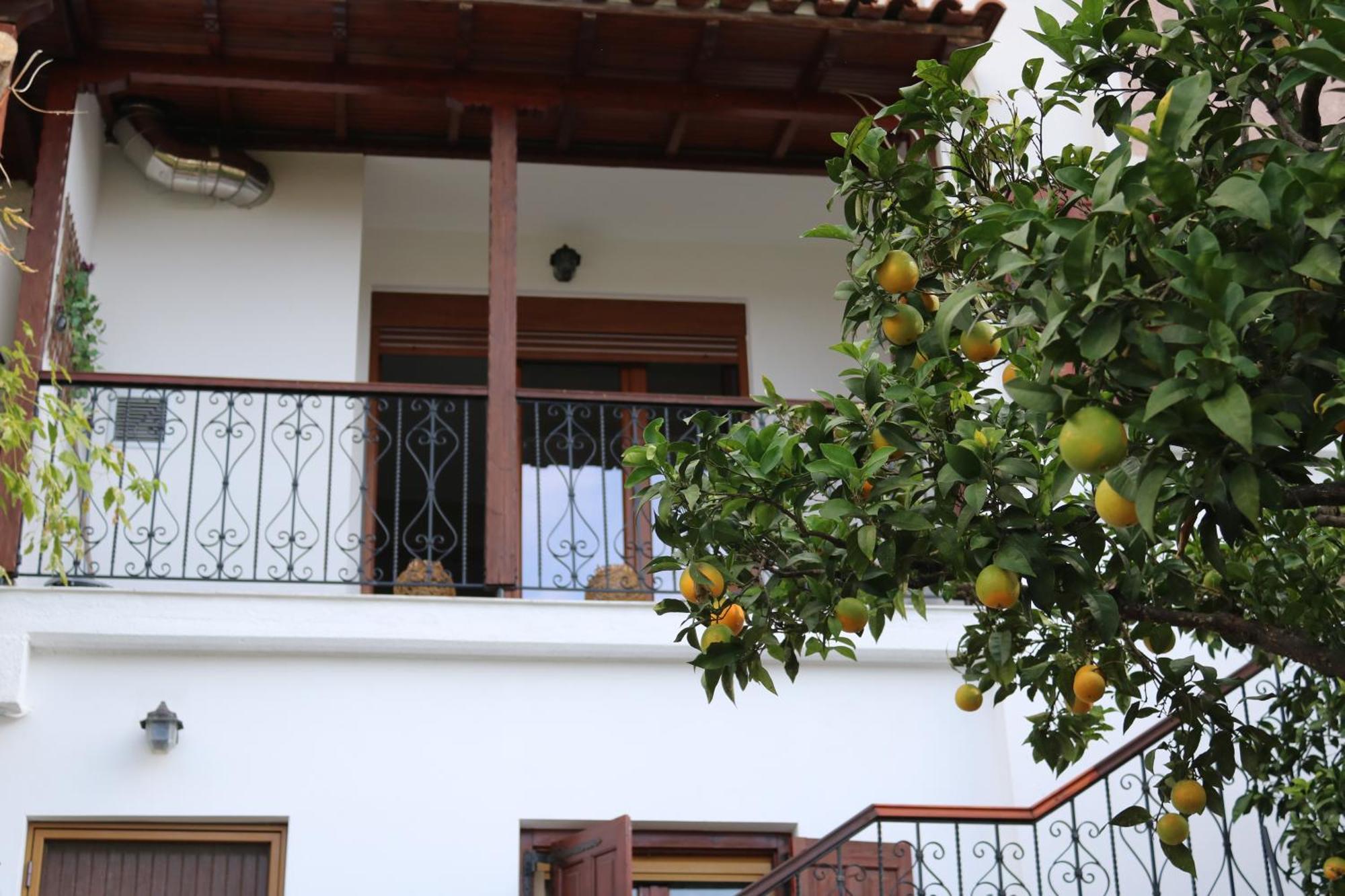 Villa Sofia Marathos  Rom bilde