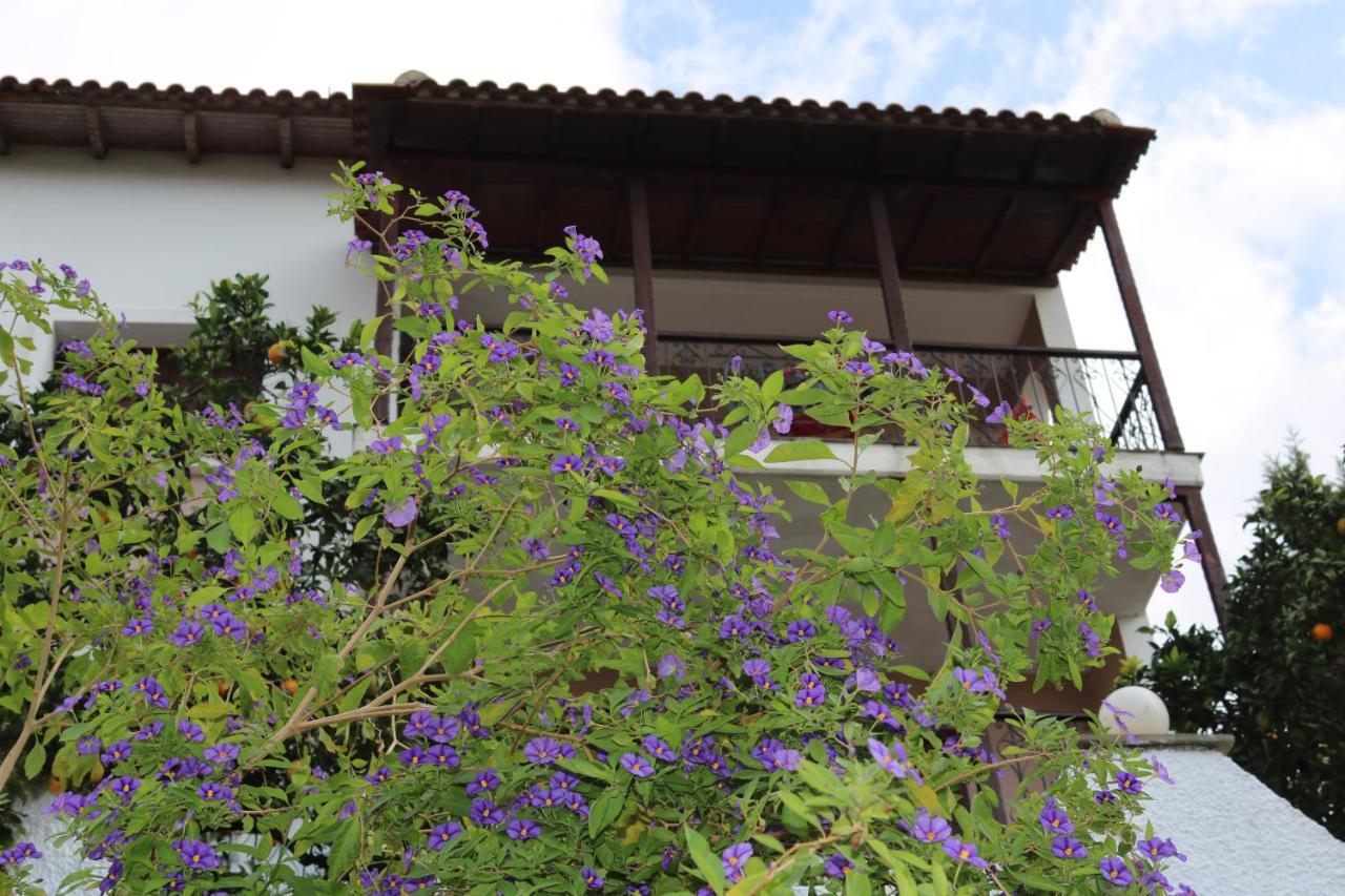 Villa Sofia Marathos  Eksteriør bilde
